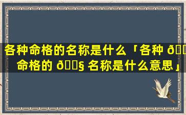 各种命格的名称是什么「各种 🌷 命格的 🐧 名称是什么意思」